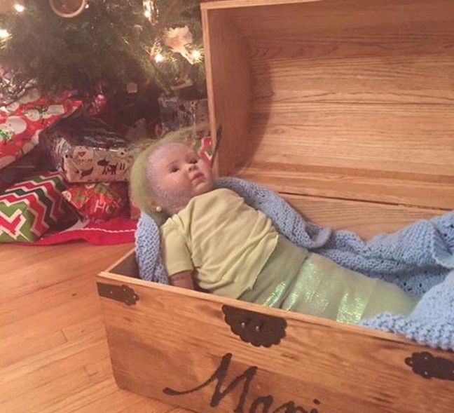 lutke, narudžbe , internet, droga