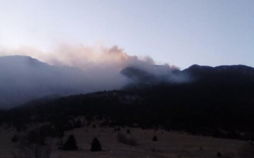 Požar u mjestu Vilino Polje