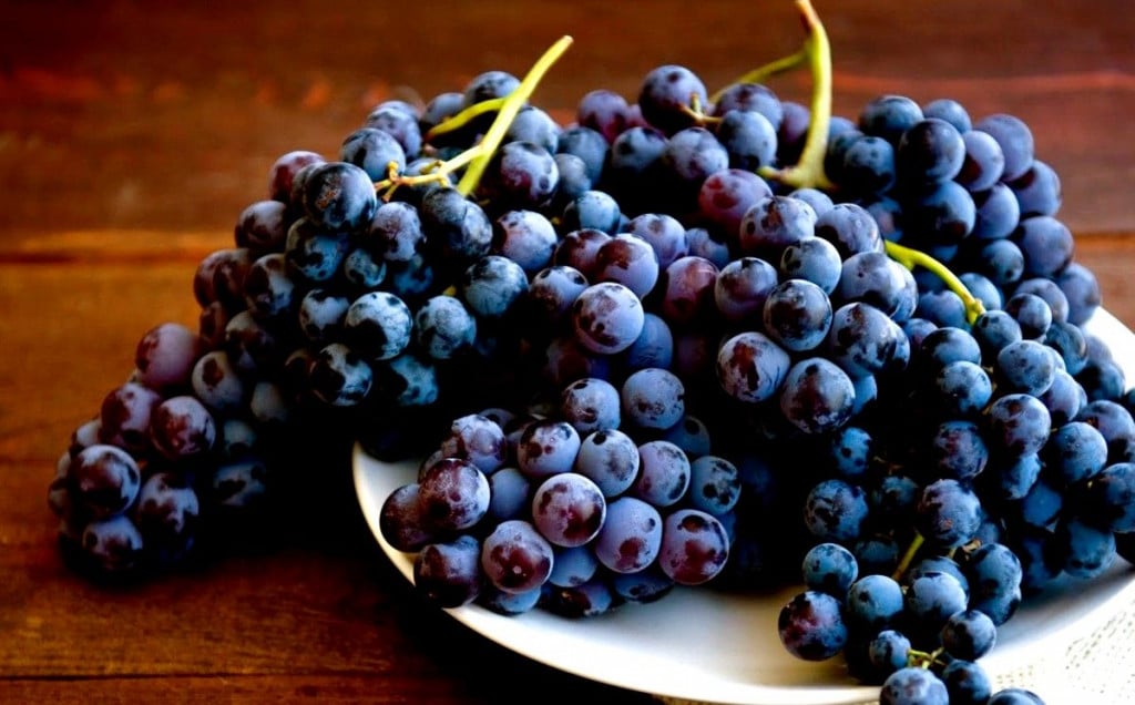 vincekovo, tradicija, grožđe
