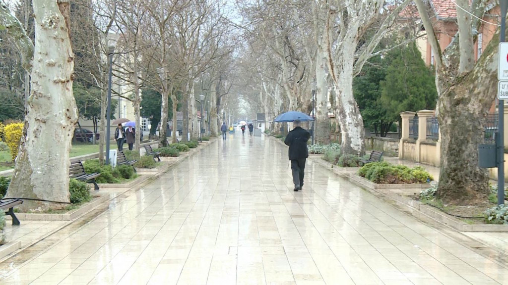 lokalni izbori 2020, plakati, inspekcija