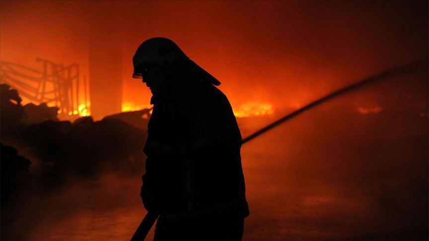 Njemačka, požar, zološki vrt, svijet, lampioni