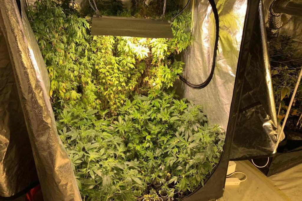 mup žs, priopćenje, droga