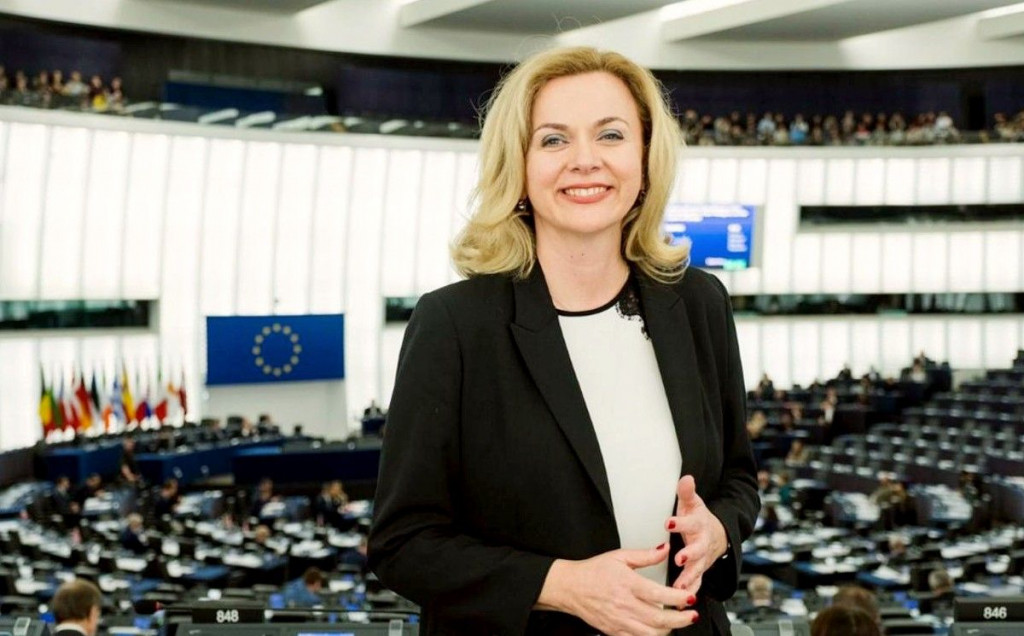 Željana Zovko, Europski parlament u Briselu, BREXIT