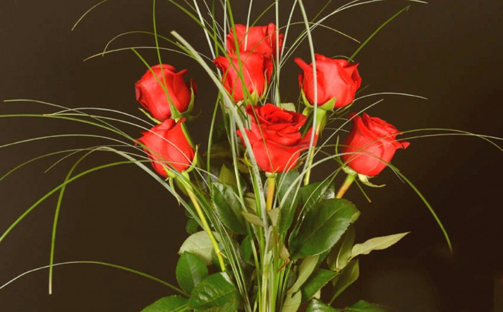 Valentinovo, ruže, izvoz