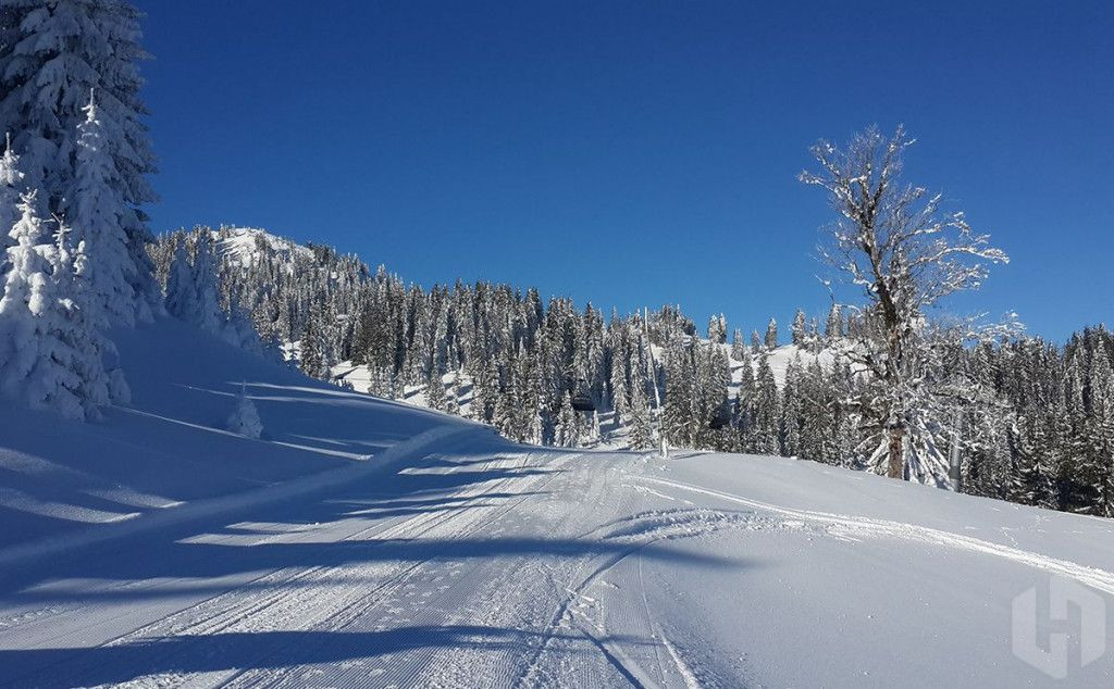 Jahorina, skijanje, turizam, Jahorina, skijanje, pristojba, snijeg