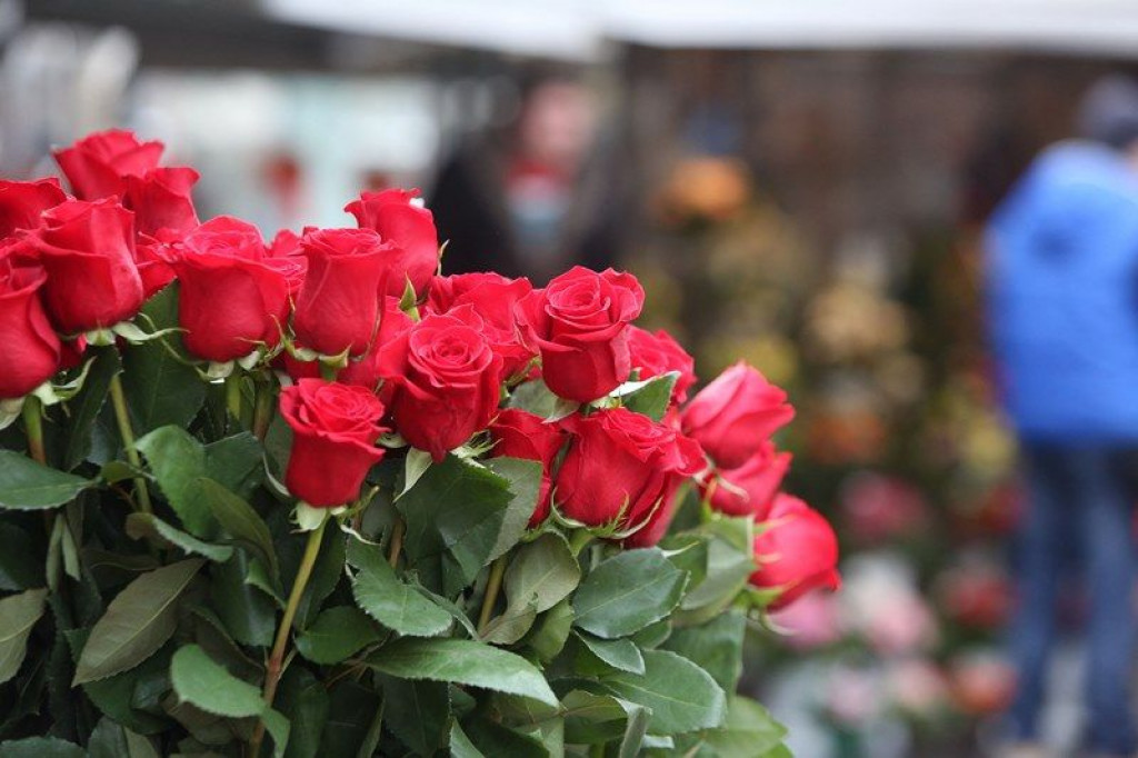 Valentinovo, Danijela Luburić, ruže, osjet mirisa