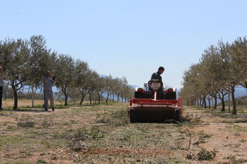 Maslinovo ulje Mikulić Ljubuški