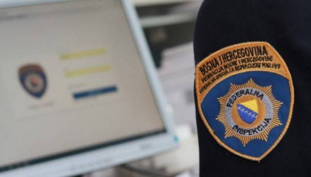 Federalna inspekcija