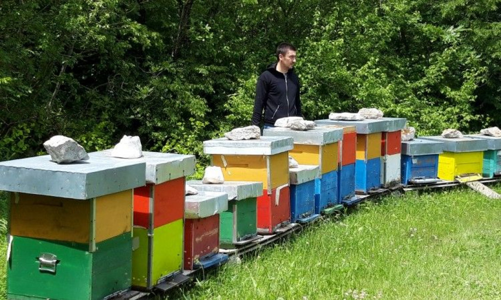 Frano crnjac med ščele