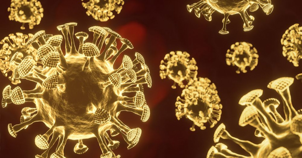 zlato koronavirus