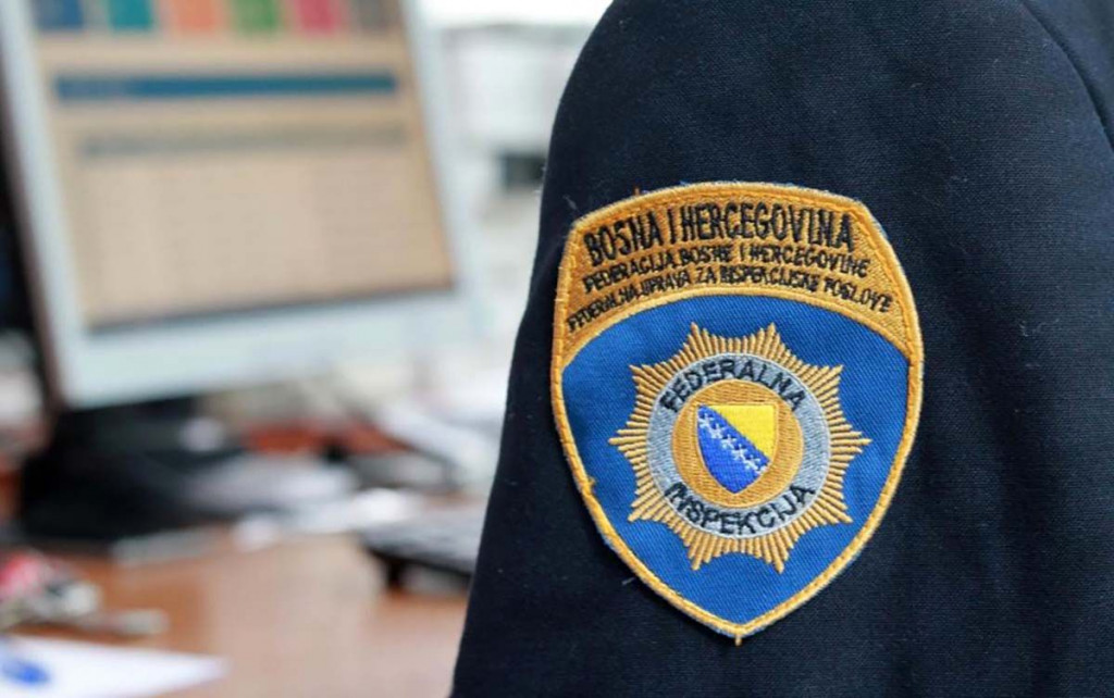 Federalna inspekcija