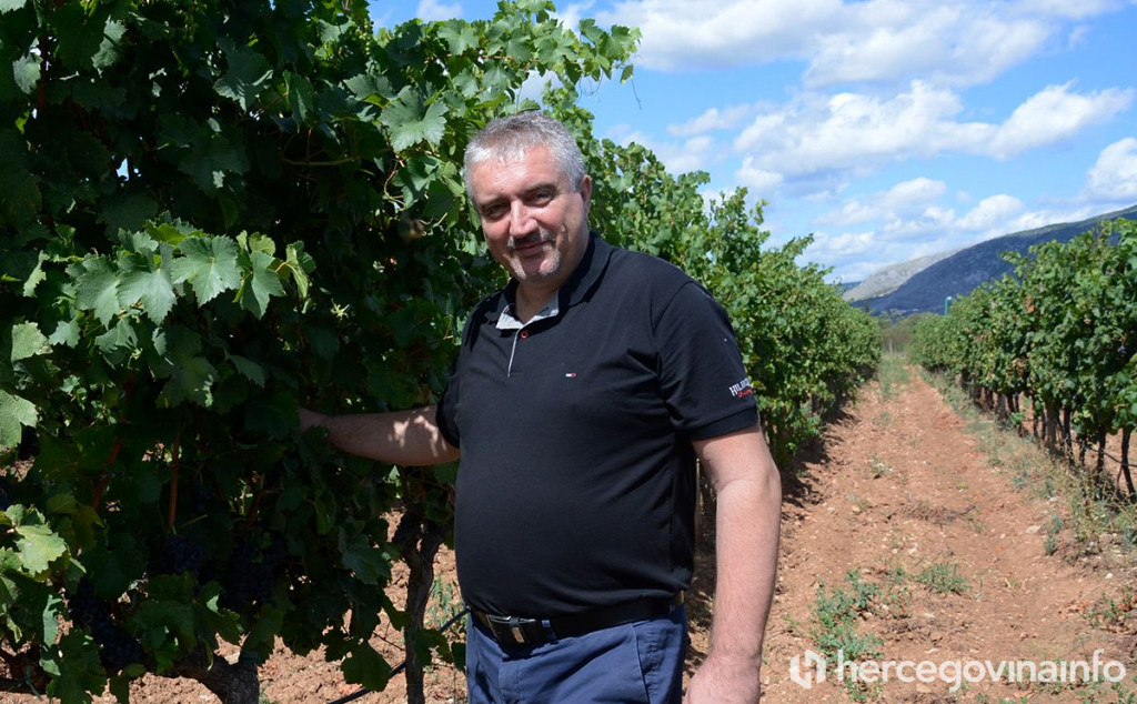 Hercegovina vino
