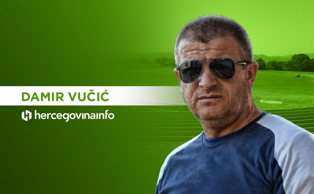 Damir Vučić