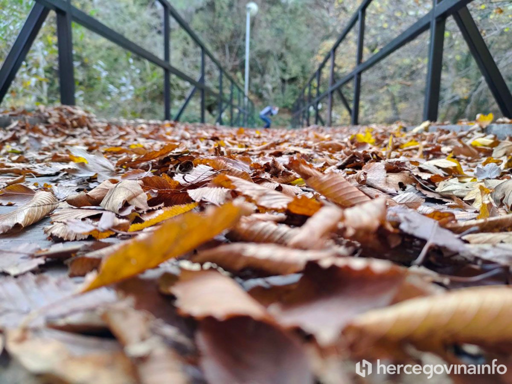 Jesen lišće mostić