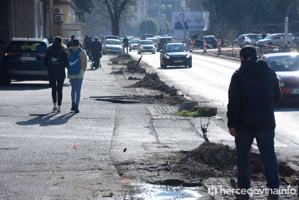 Drvocid uništavanje drvoreda u Mostaru