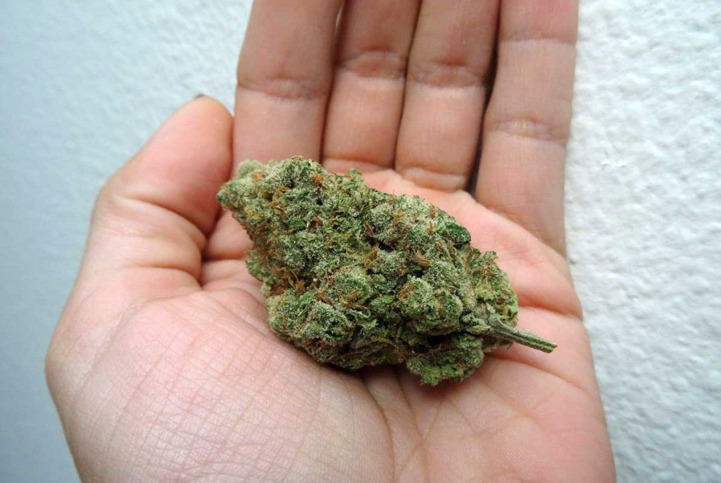 Kanabis u ruci