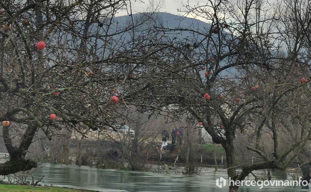 Malo polje tragedija
