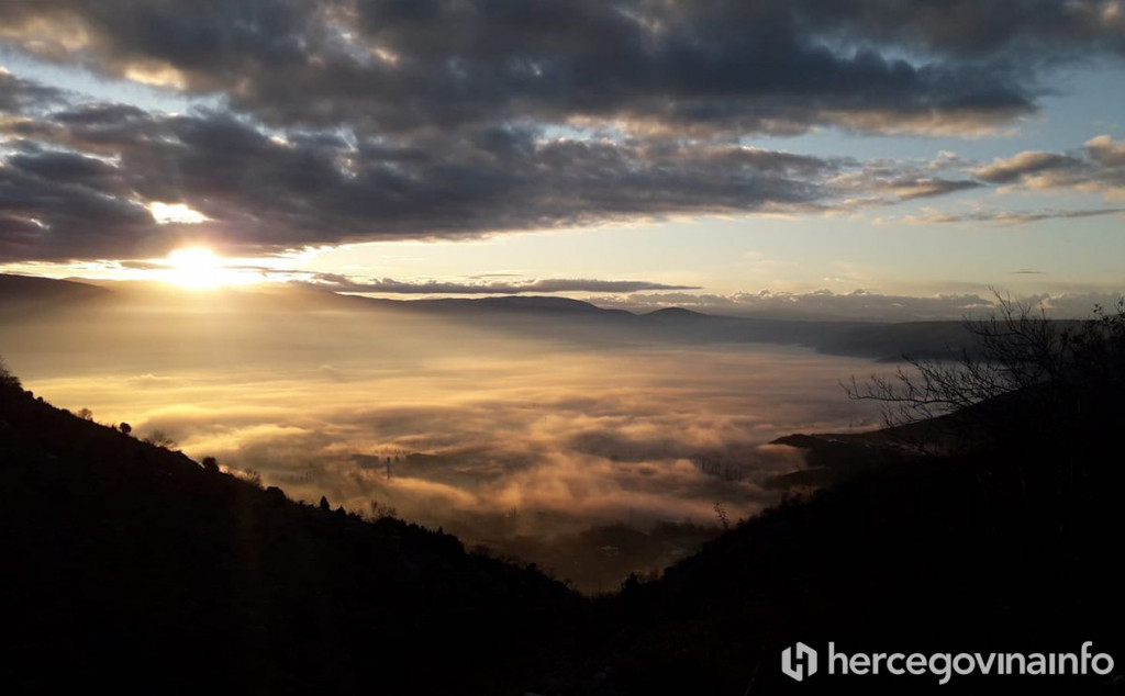 Rodoč jasenica magla