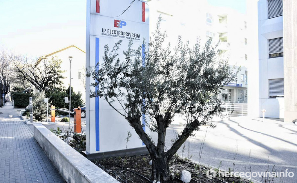 Elektroprivreda maslina