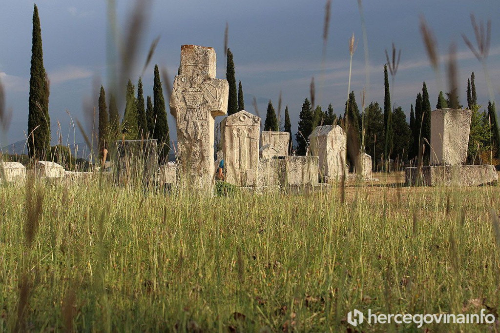 Radimlja Stolac stećci
