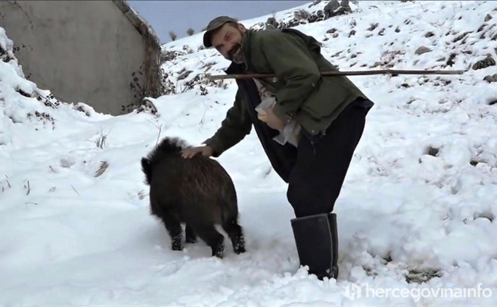 Slavko milović vepar