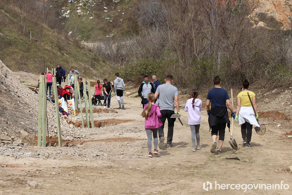 Sadnja stabala na kopu Vihovići