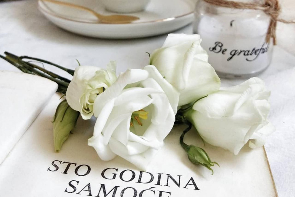 čitam, preporuke knjiga, blog, Čitaj knjigu, romani