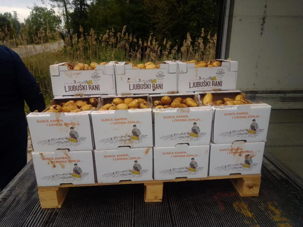 Ljubuški rani krumpir