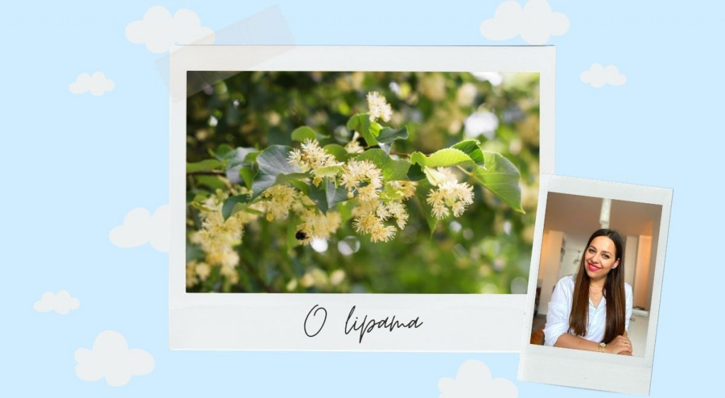 sanjarim, kolumna, Jelena Rozić, ogledalo duše, lipe