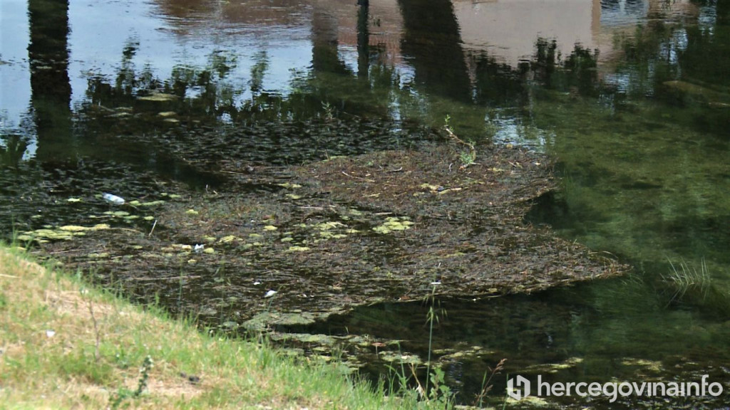 Građani pokrenuli peticiju za spas Trebišnjice
