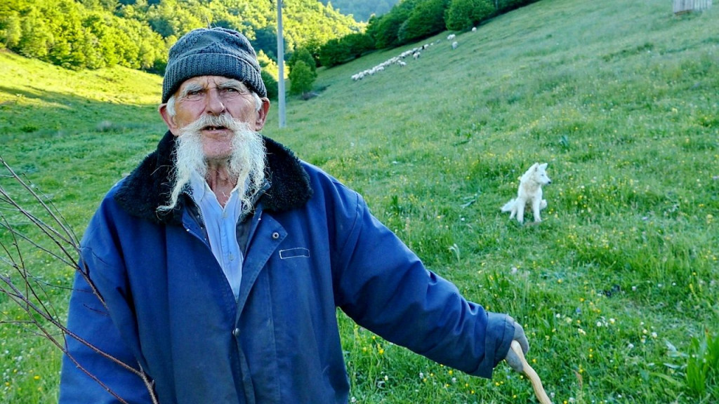 Nedo Milutinović pastir