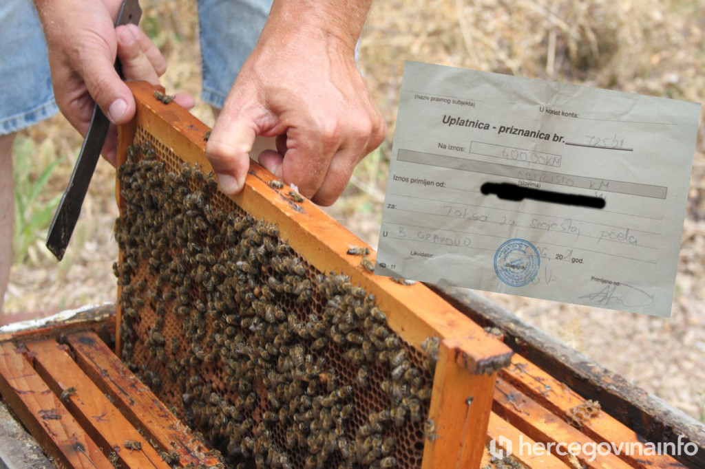 pčele, pčelari, med, federacija bosna i hercegovina, proizvodnja meda, domaća hrana