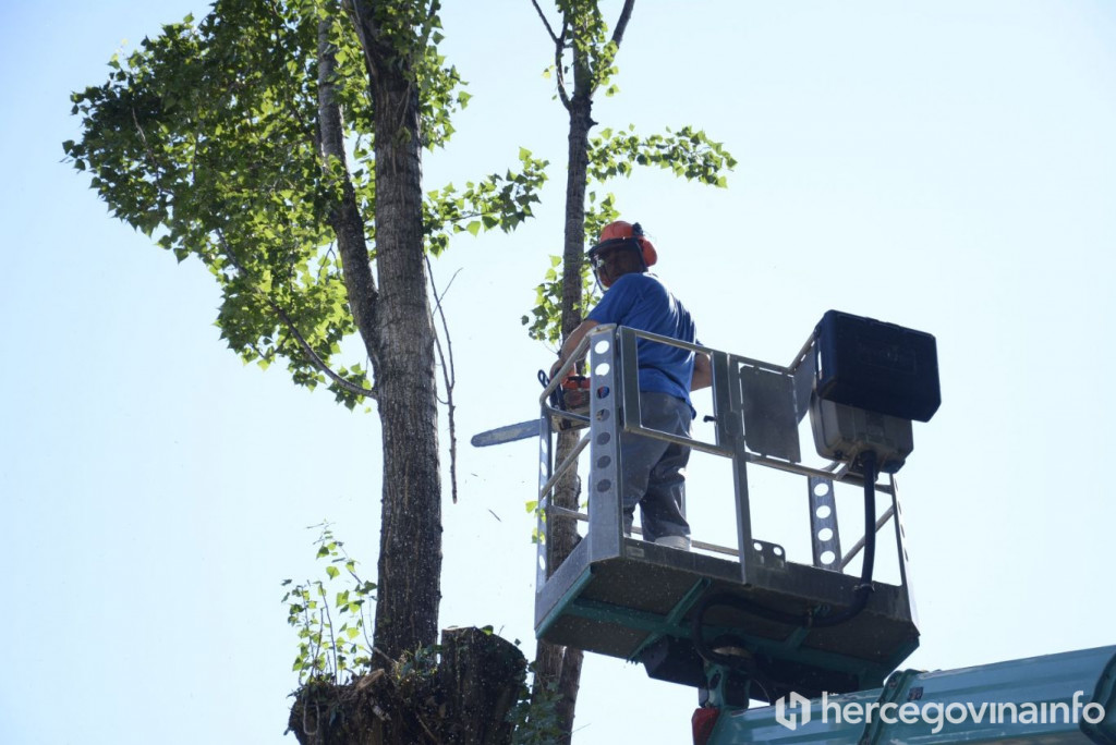 JP Parkovi, nogostup, zagrebačka ulica 