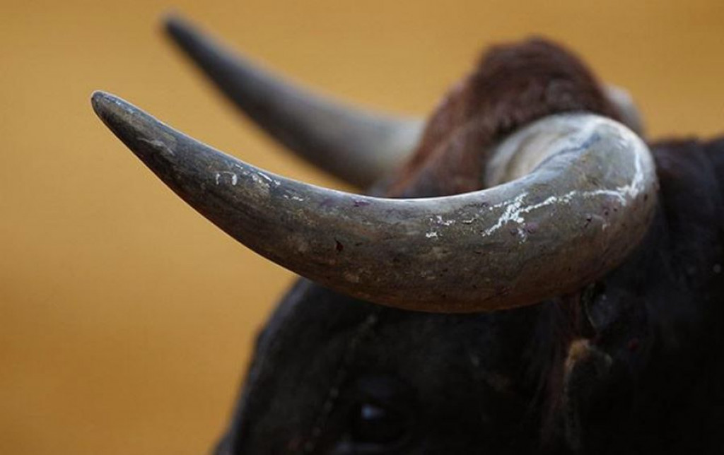 bik, Posušje, Kupres, korida