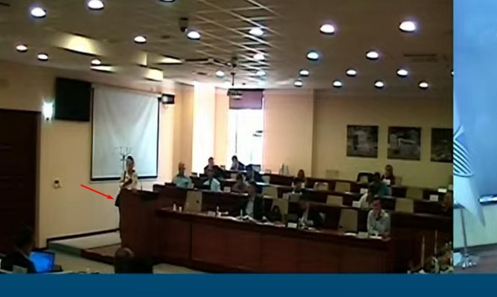 Adela Gosto, Prva mostarska partija, gradsko vijeće, Mostar 2020.