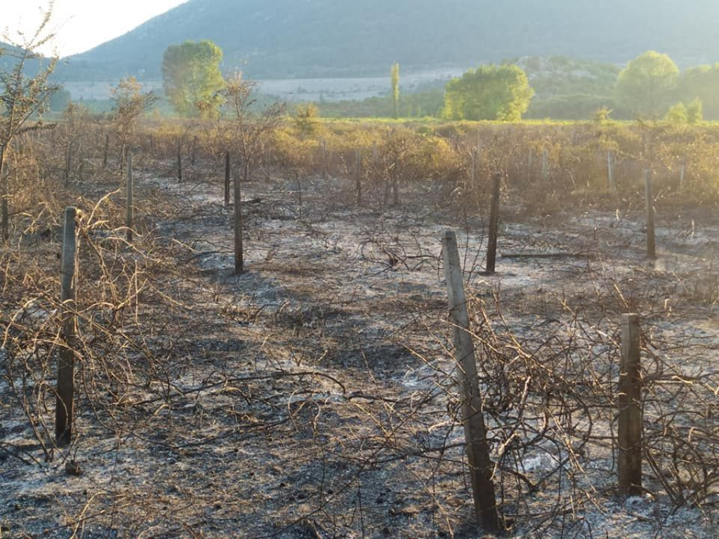 požar, Ljubuški, Crveni Grm