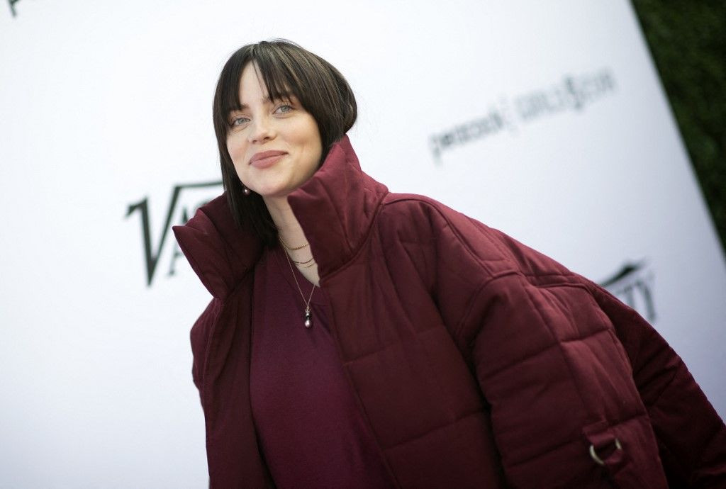 billie eilish, pornografija, pornići