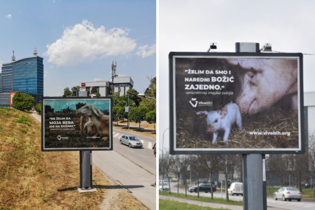 viva , vegan, vegeterijanska hrana, Božić, Bajram, Sarajevo, vijesti