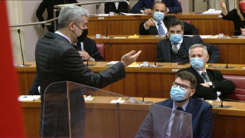 Nino Raspudić, hrvatski sabor