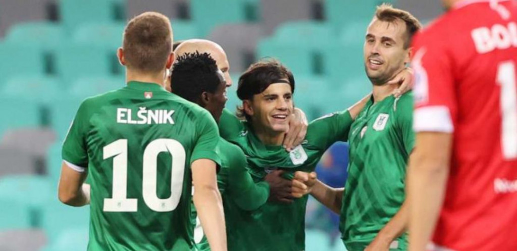 Almedin Ziljkić, reprezentacija BIH