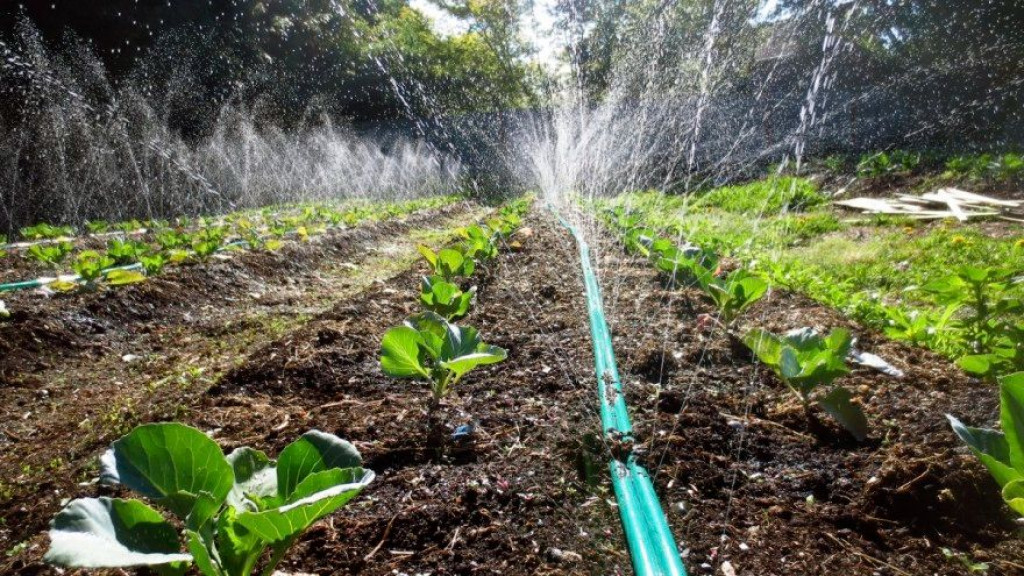 goražde, sustav navodnjavanja, Bosna i Hercegovina, kriminal