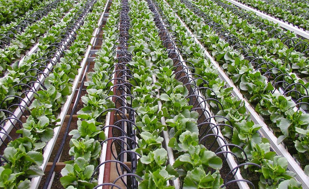 goražde, kriminal, navodnjavanje, poljoprivreda