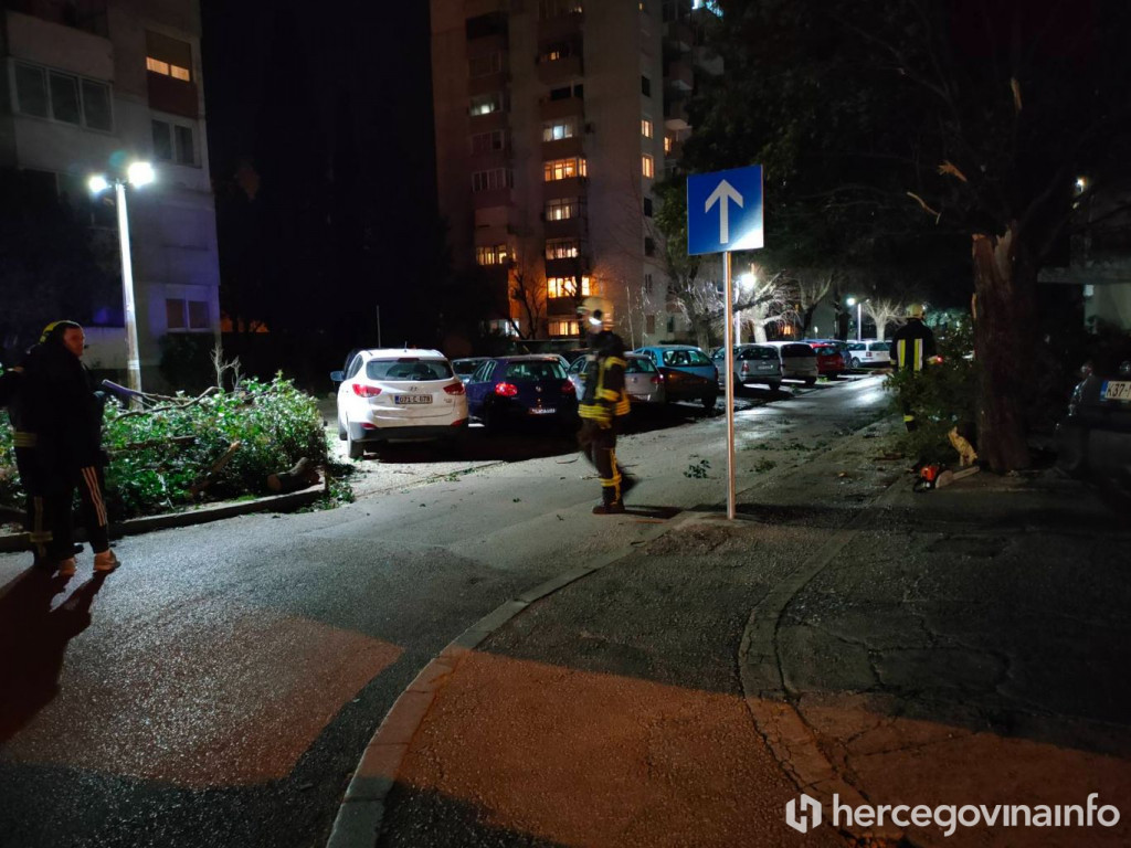 Vjetar slomio stablo