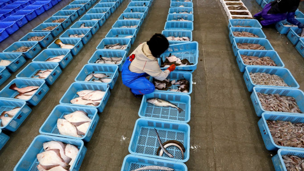 Fukushima, radioaktivnost, japan, tajvan