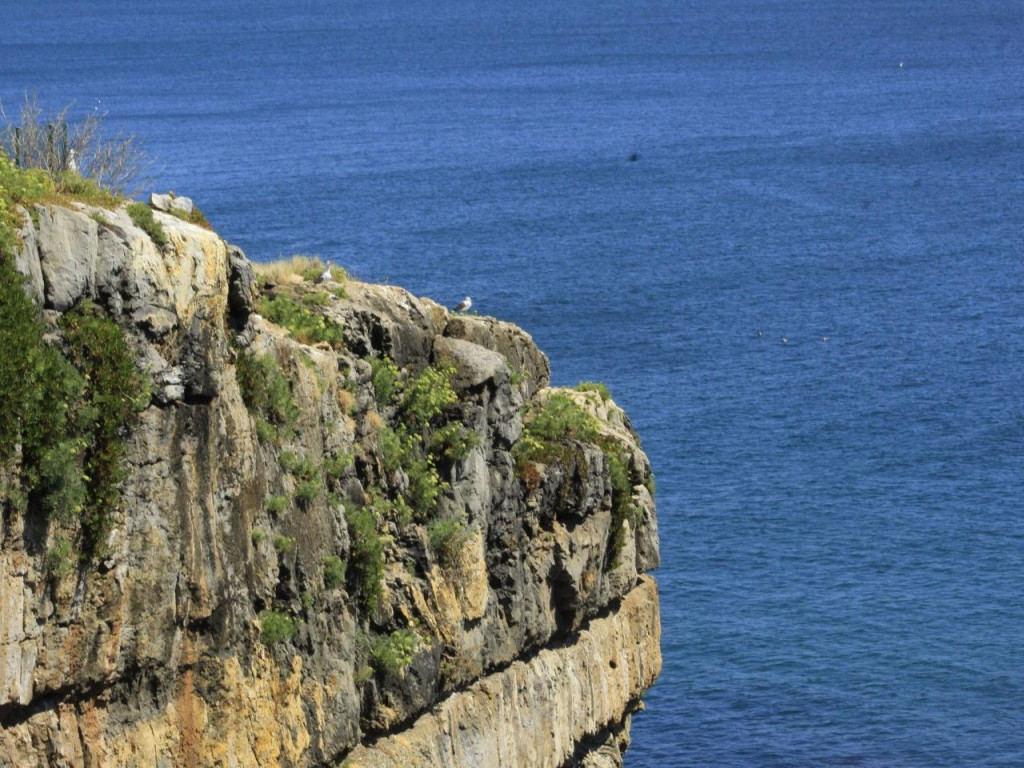 Oliver Antić, veleposlanik, srpski veleposlanik, portugal, tragedija