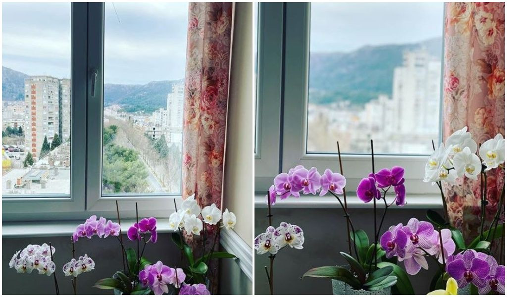 glumica, Ornela Vištica