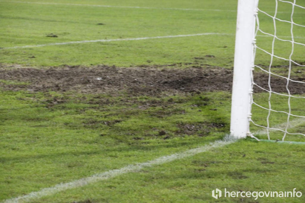 nogometni savez BIH, Vico Zeljković, hibridni tereni