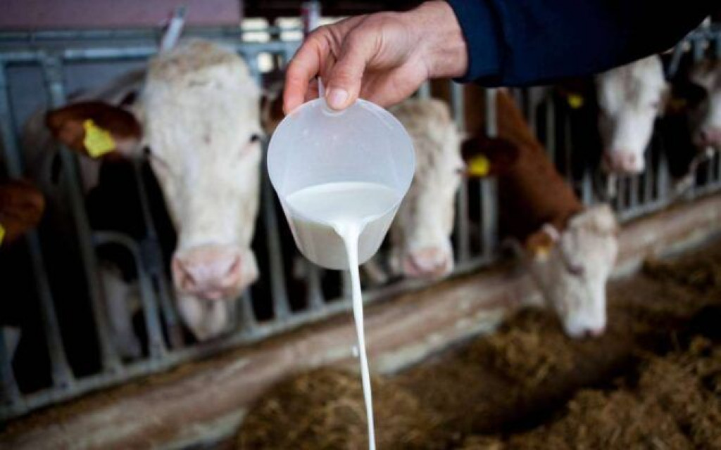 mlijeko, mljekari, plavi dizel, mljekari, farme, mlijeko, proizvodnja, prodaja, proizvodnja mlijeka, otkupna cijena, mljekari, mlijeko, Gorivo, poskupljenje