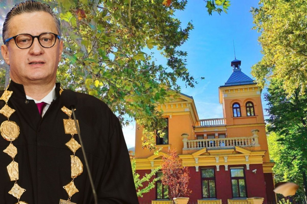 Sveučilište u Mostaru,rektor tomić,plagijat,znanost,knjiga,Slavica Juka,Filozofski fakultet,vijesti