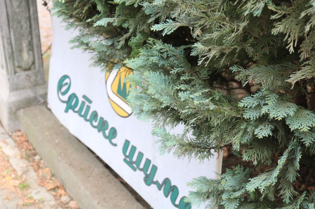 šume srpske, prijevara, šume srpske, Banja luka